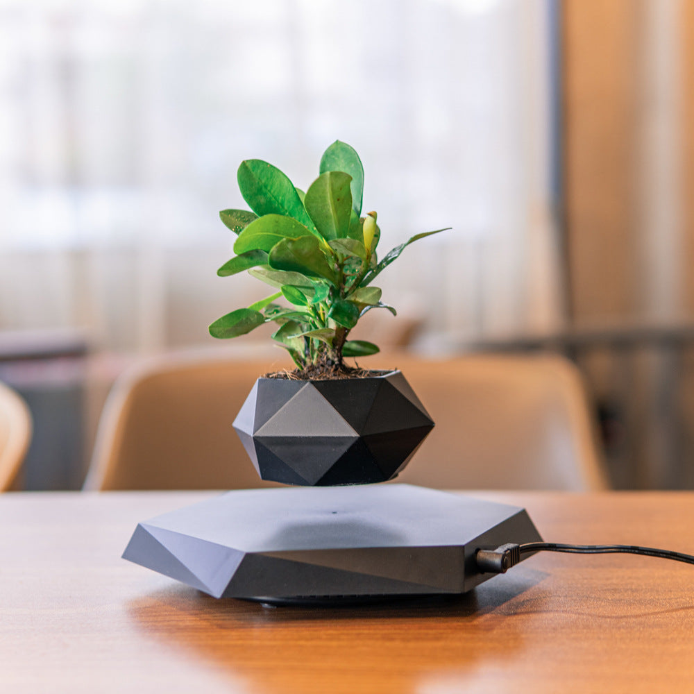 Levitating Magnetic Flower Pot – Floating Planter for Modern Home Decor