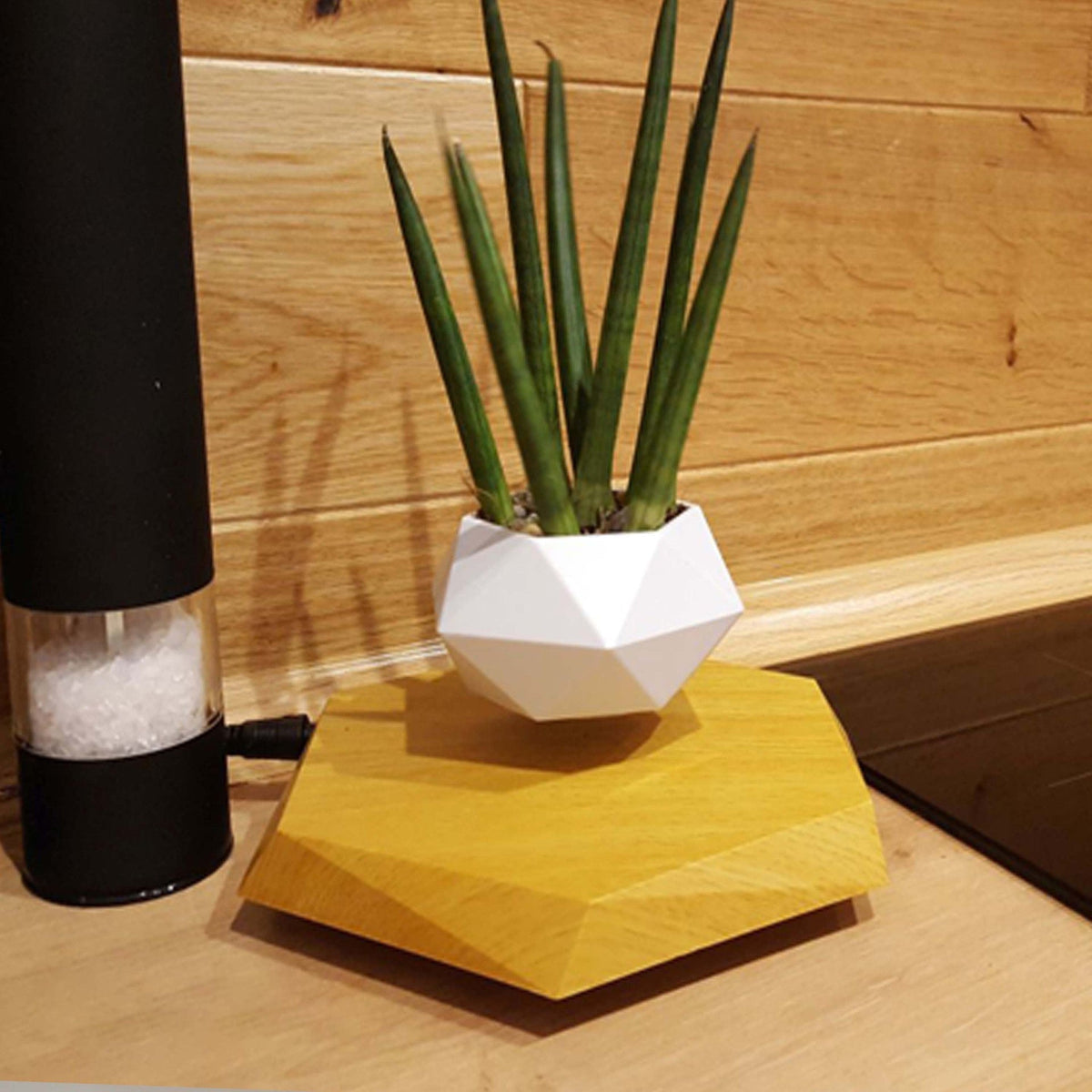 Levitating Magnetic Flower Pot – Floating Planter for Modern Home Decor