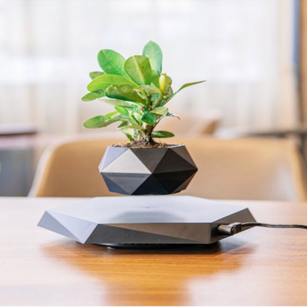 Levitating Magnetic Flower Pot – Floating Planter for Modern Home Decor