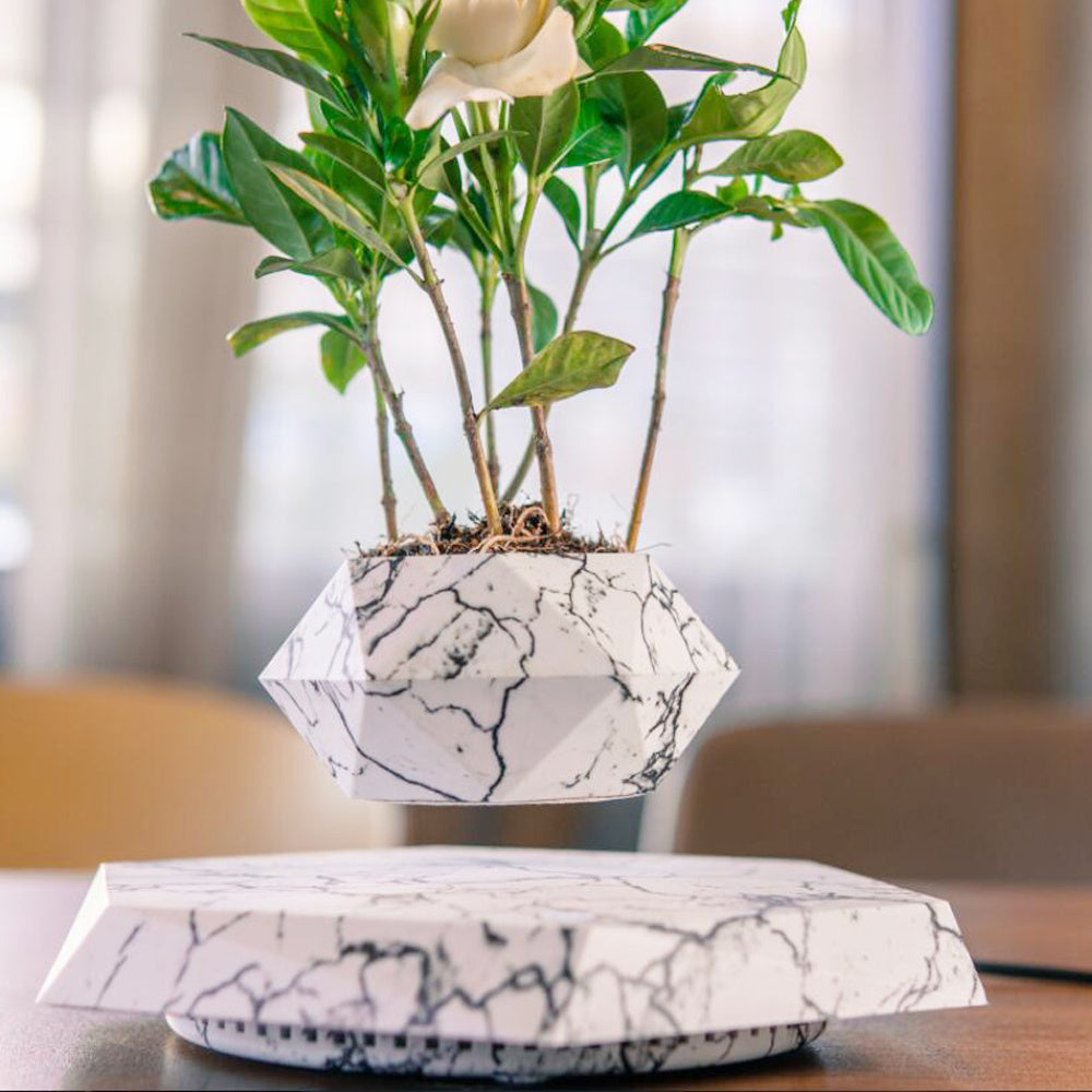 Levitating Magnetic Flower Pot – Floating Planter for Modern Home Decor